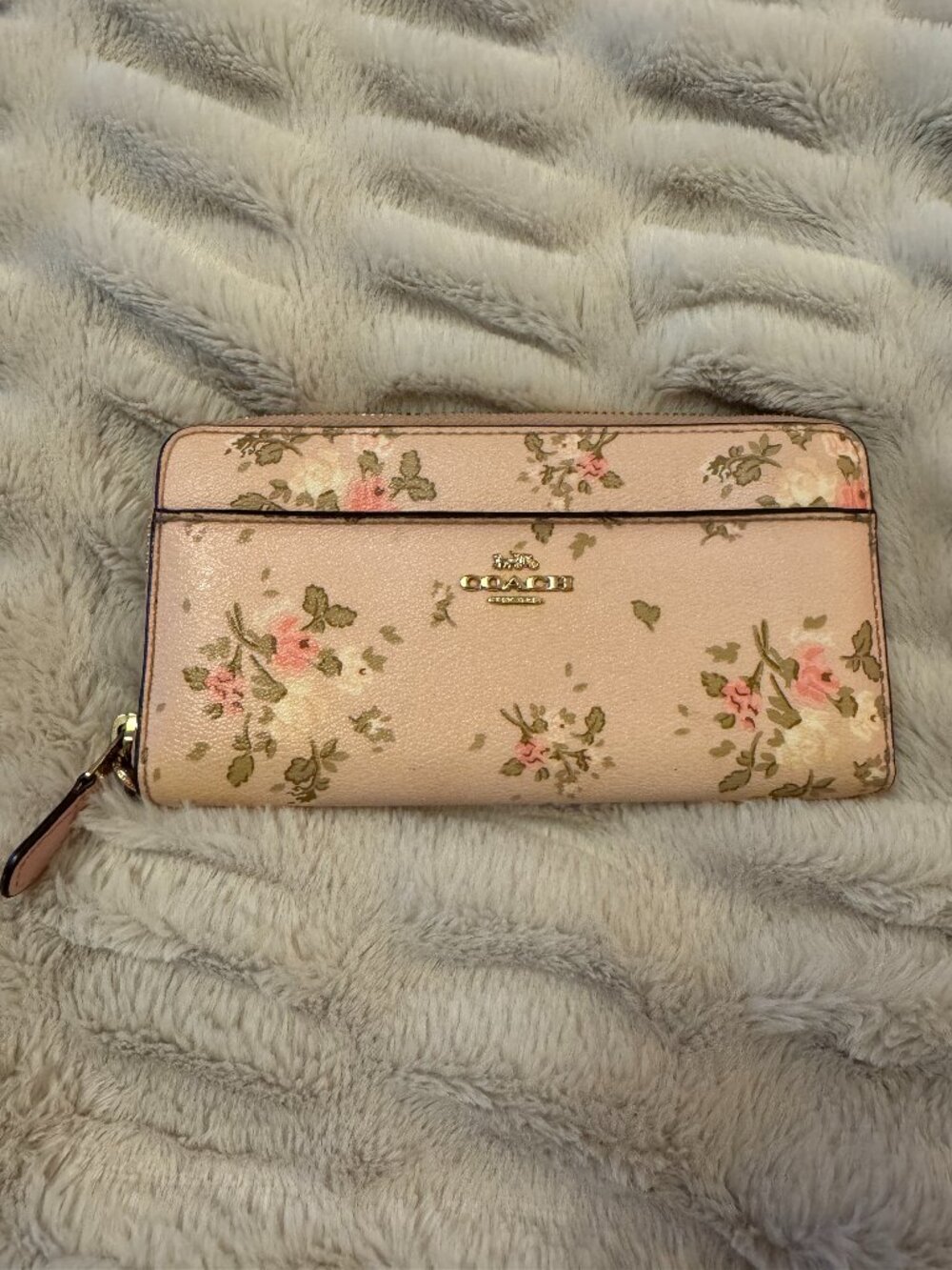 Coach Accordion Zip Wallet with Rose Bouquet Print (89966)